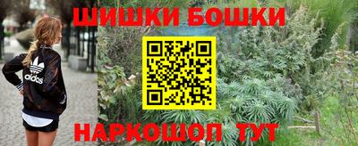 спиды Камышлов